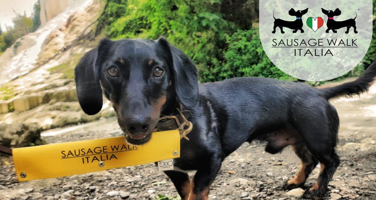 SAUSAGE WALK ITALIA: LE PASSEGGIATE DEI BASSOTTI IN AUTUNNO