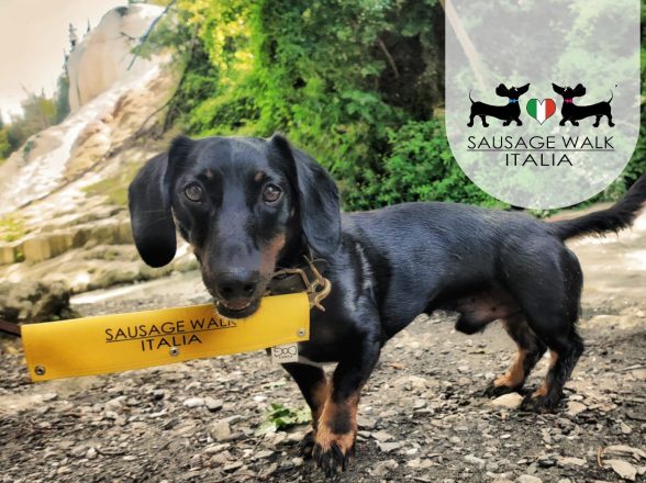 SAUSAGE WALK ITALIA: LE PASSEGGIATE DEI BASSOTTI IN AUTUNNO
