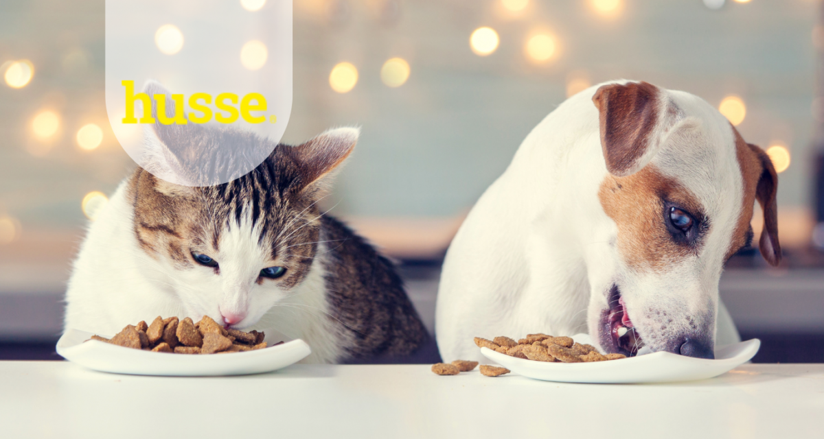 CIBO PER CANI E GATTI CON DIGESTIONE SENSIBILE: COSA CONTROLLARE SULL’ETICHETTA