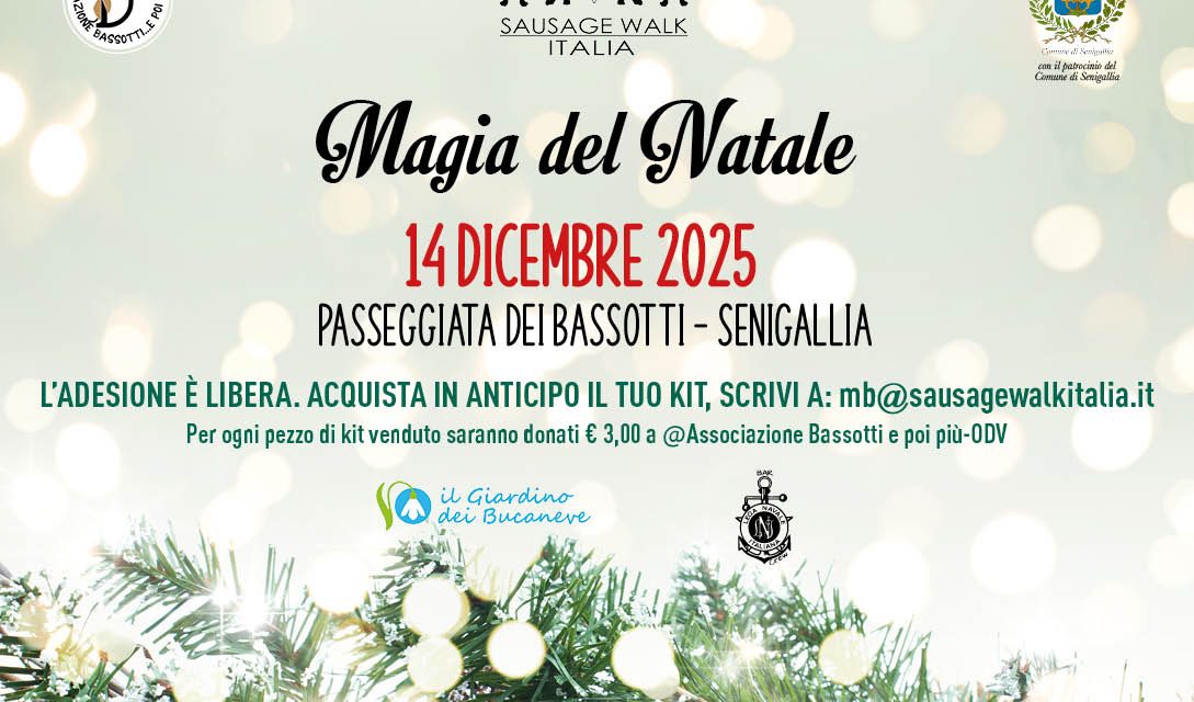 Vivi la Magia del Natale passeggiando con noi!
