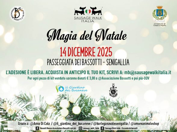 Vivi la Magia del Natale passeggiando con noi!
