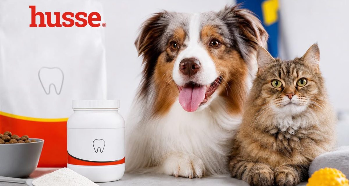 IGIENE DENTALE PER CANI E GATTI: QUALITA’SVEDESE A LISSONE