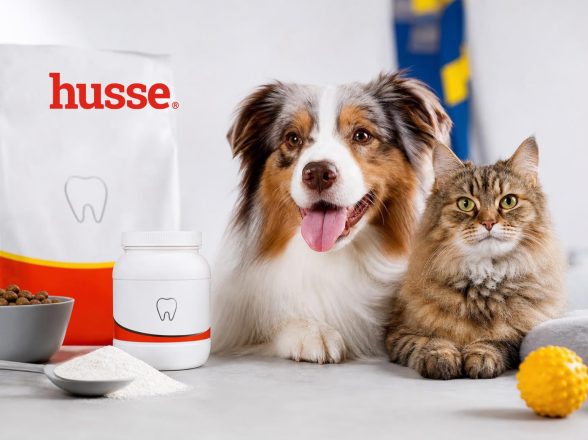 IGIENE DENTALE PER CANI E GATTI: QUALITA’SVEDESE A LISSONE
