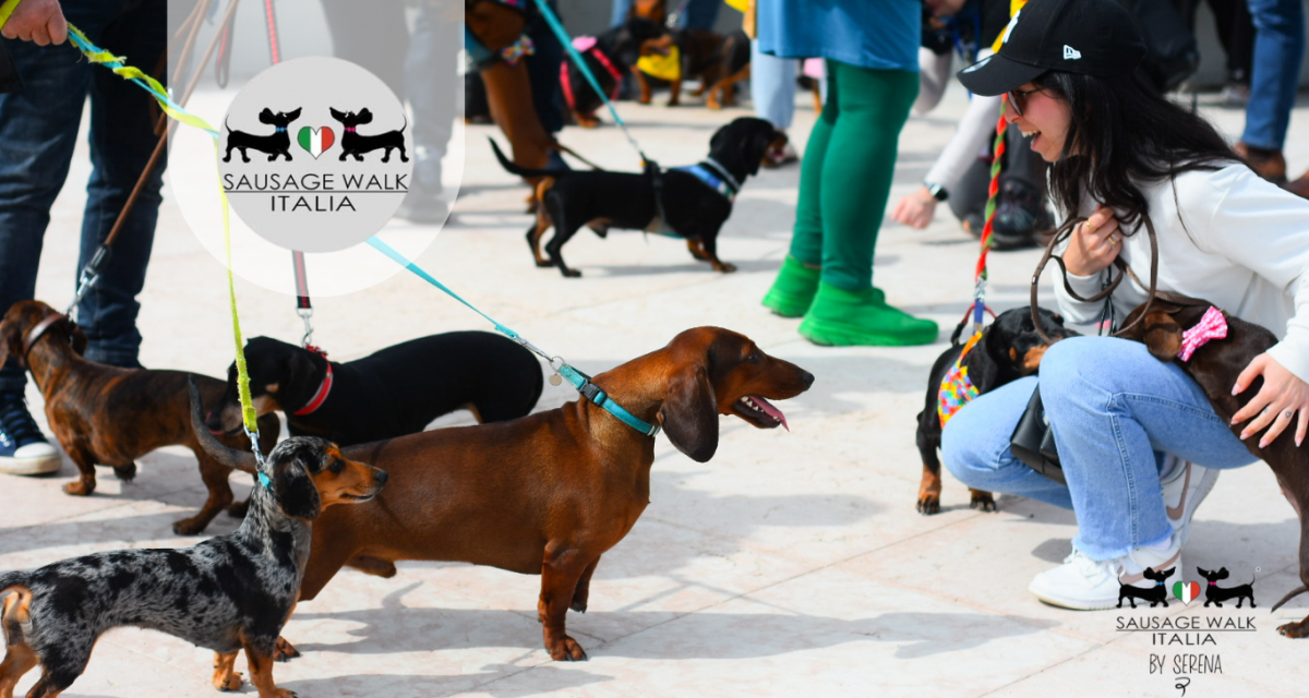 SAUSAGE WALK ITALIA 2026: LA PASSEGGIATA DEI BASSOTTI IN TUTTA ITALIA