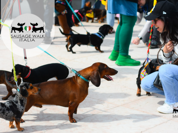 SAUSAGE WALK ITALIA 2026: LA PASSEGGIATA DEI BASSOTTI IN TUTTA ITALIA